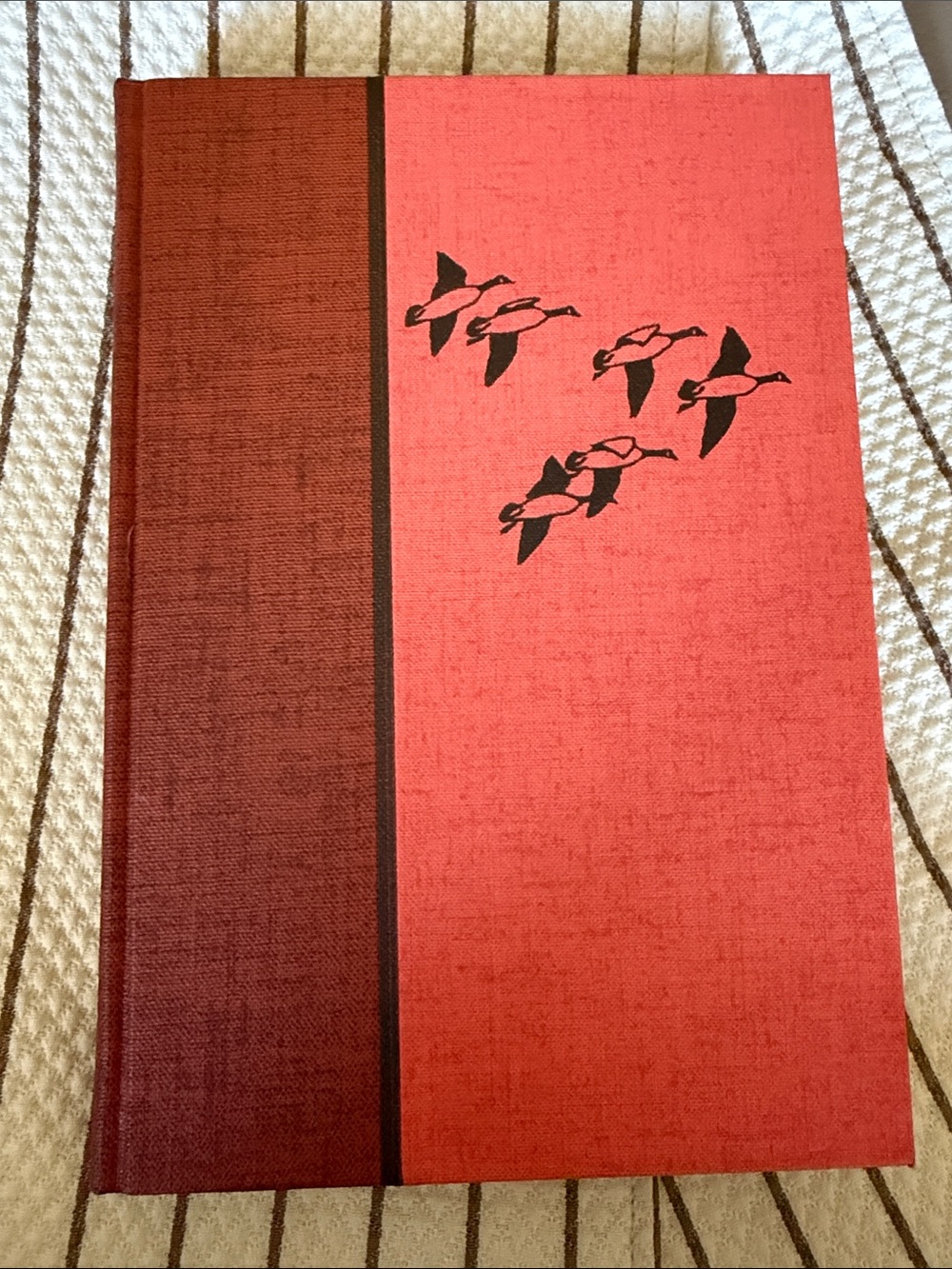 Vintage National Geographic Water Prey and Game Birds of North America